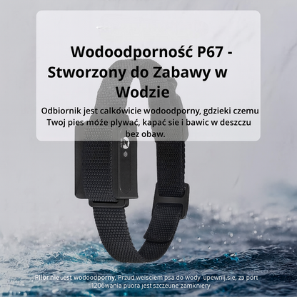 Obroża Treningowa Dla Psa | 1000m Zasięgu 7