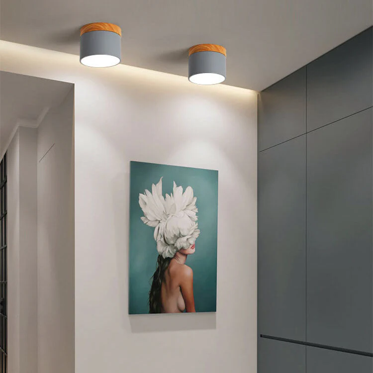 Skandynawska Macaronowa Jednolita Kolorowa Lampa LED na Sufit
